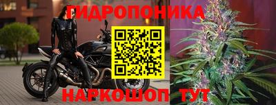 ешки Моздок