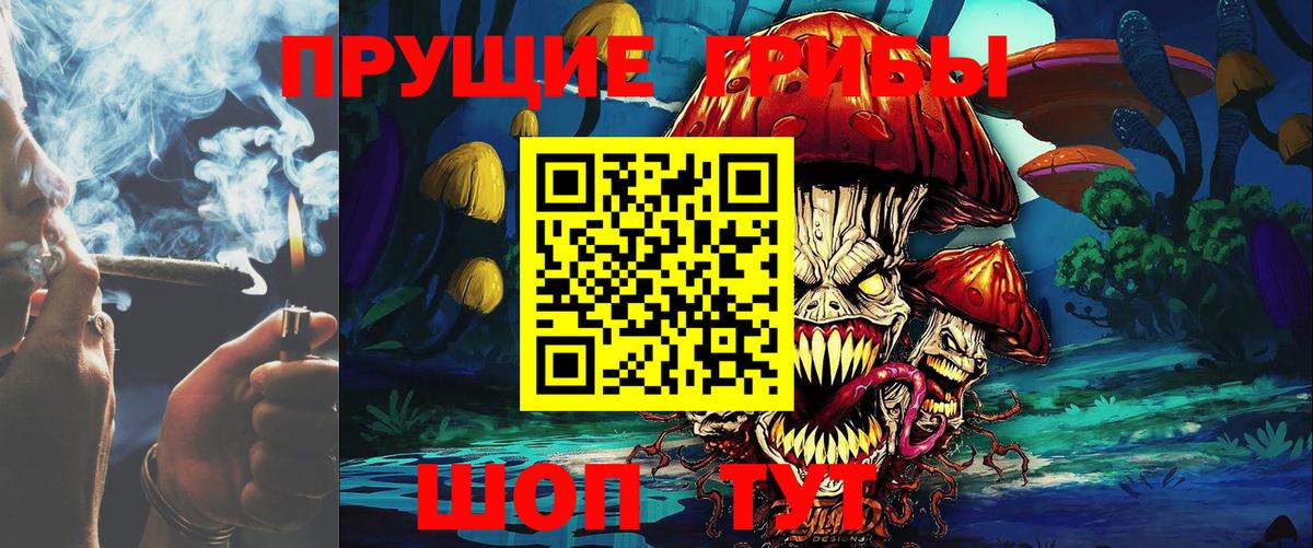 Псилоцибиновые грибы Psilocybine cubensis Махачкала